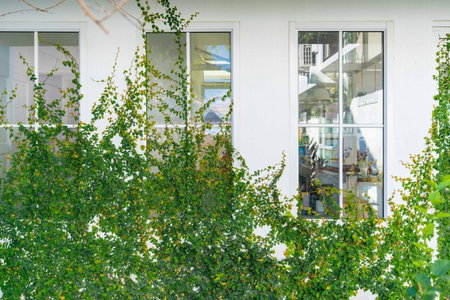 Mammoth Boutique Hotel, Chiang Mai, Thailand