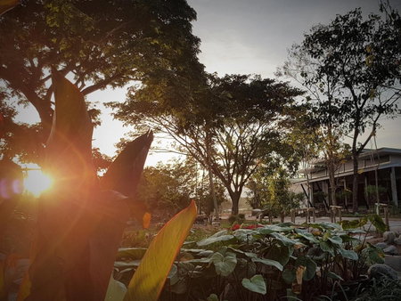 DD Garden Home, Phayao, Thailand
