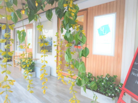 Nornnuea @ Inthanon, Ban Phae, Thailand