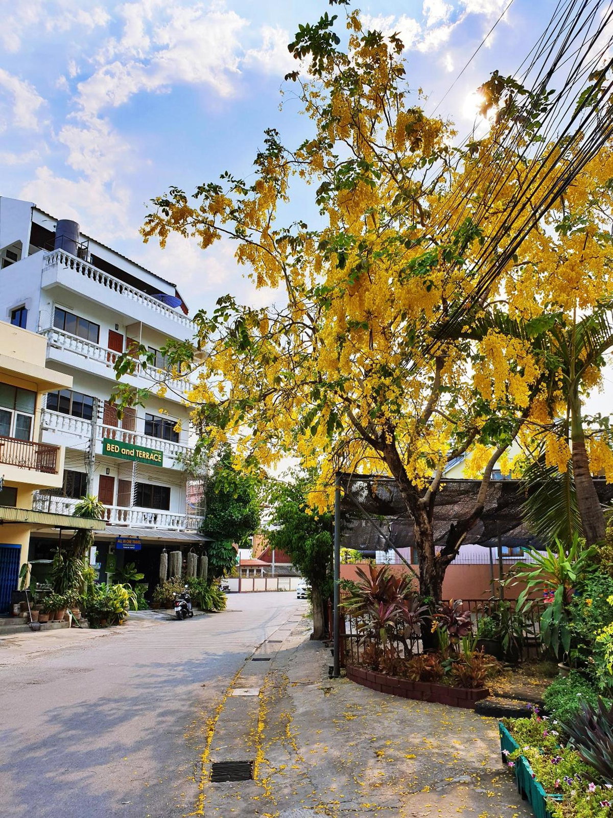 Hotel · Bed and Terrace Guesthouse Chiang Mai, Chiang Mai