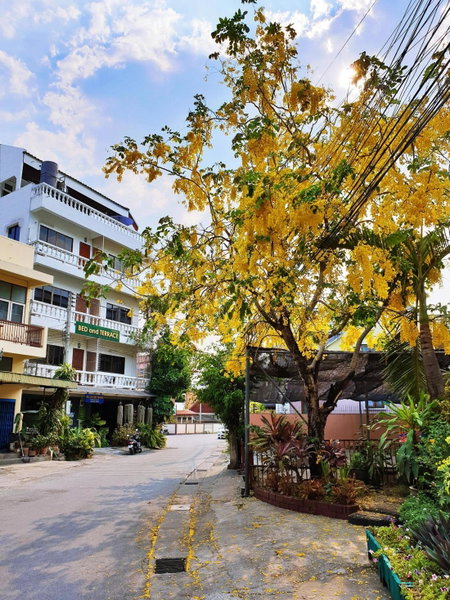 Bed and Terrace Guesthouse Chiang Mai, Chiang Mai, Thailand