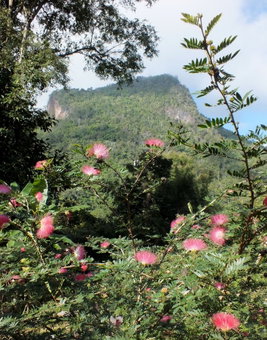 Chiang Dao Roundhouses, Chiang Dao, Thailand