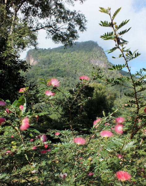 Chiang Dao Roundhouses, Chiang Dao, Thailand
