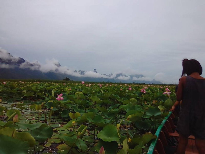 Lungcha Homestay, Sam Roi Yot, Thailand