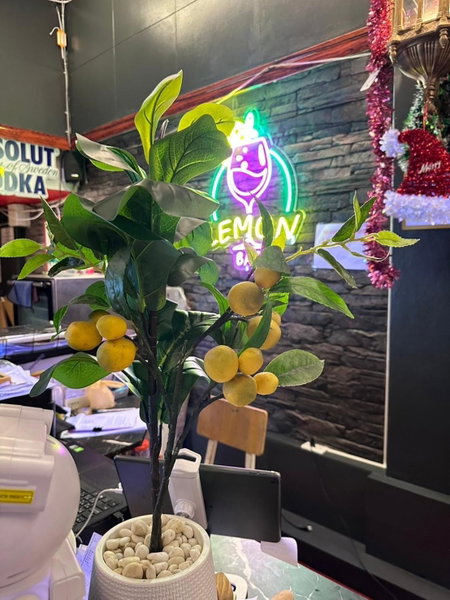 Lemonap Hostel, Chiang Mai, Thailand