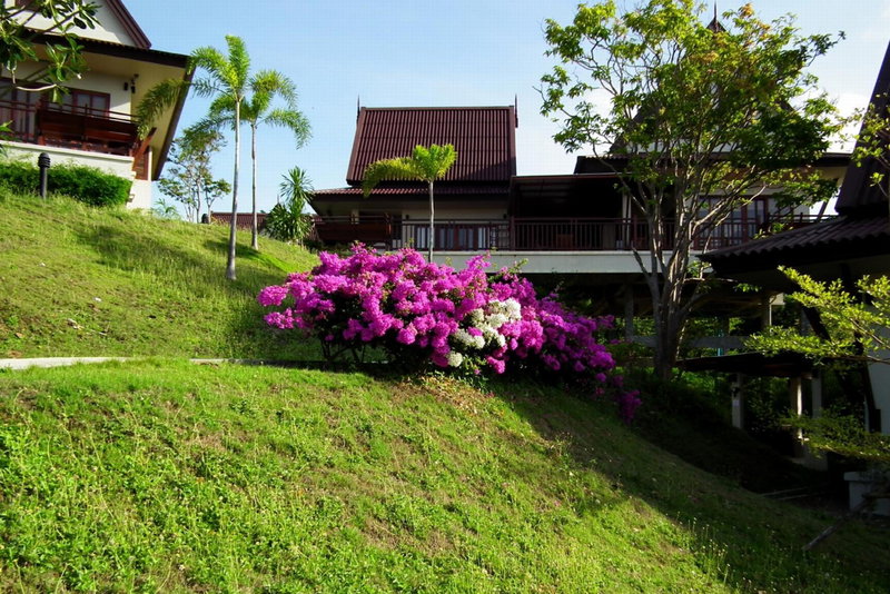 Baan KanTiang See Villas - SHA Extra Plus, Ko Lanta, Thailand
