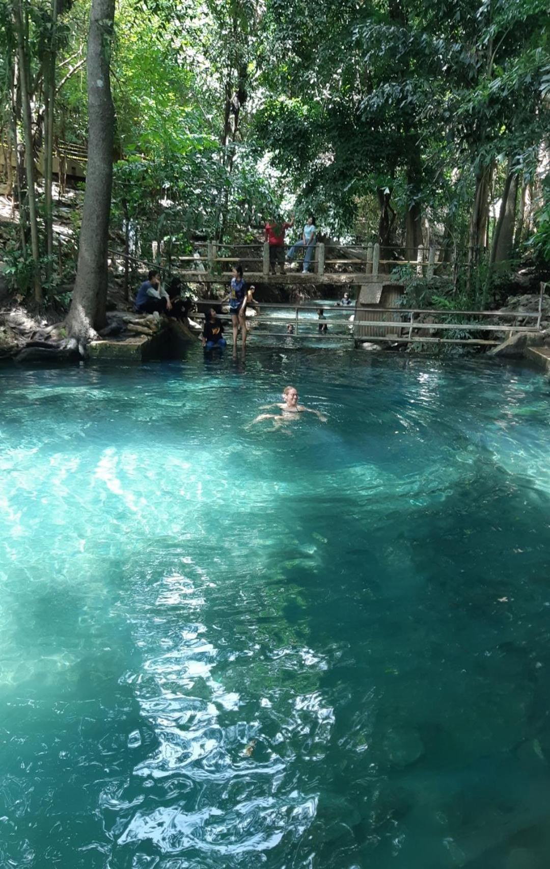 Pakchong hostel & wildlife tour, Thailand