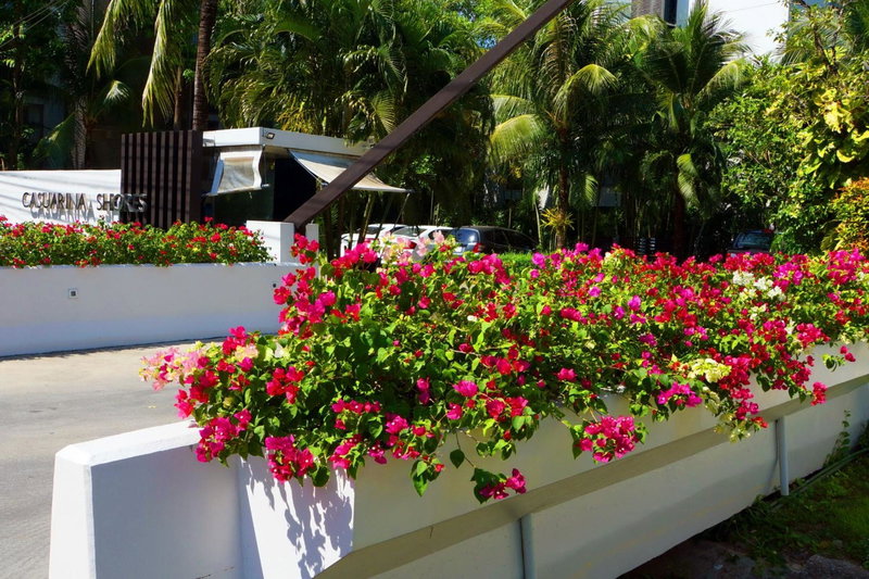 Casuarina Shores Apartment - SHA Plus, Bang Tao Beach, Thailand