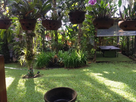 Sunflowerbungalow, Khao Lak, Thailand