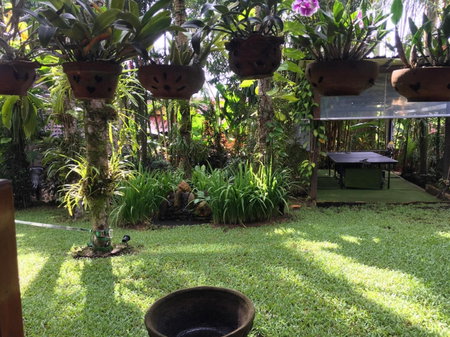 Sunflowerbungalow, Khao Lak, Thailand
