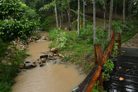 Cascade Tara, Koh Samui, Thailand