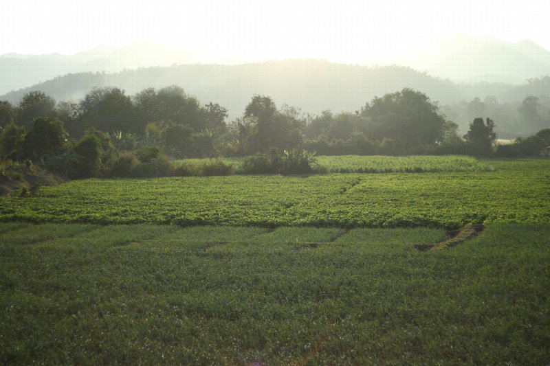 Baan Khue Wieng Resort, Mae Sariang, Thailand