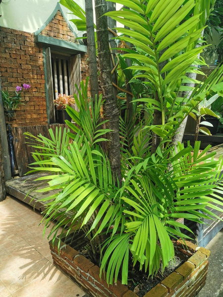 Sri Ayuttaya Guesthouse, Bangkok, Thailand
