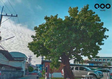 Qoo Hotel, Buriram, Thailand