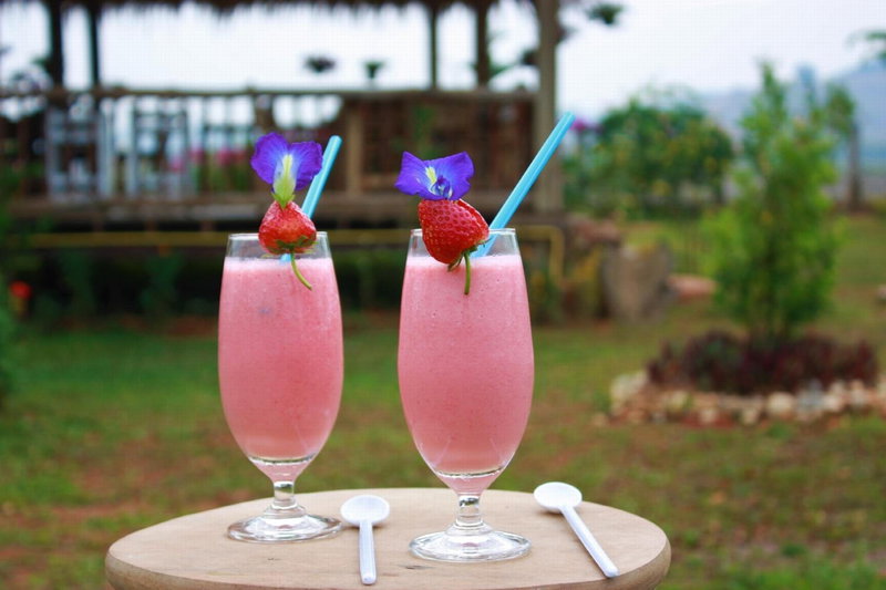 Kham Ecolodge, Ban Doi Sa-Ngo Bon, Thailand