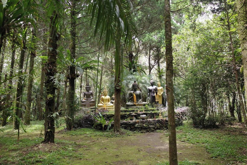 Doichang View, Mae Suai, Thailand