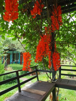 Baan Suan Hill Resort, Ban Ta Khun, Thailand