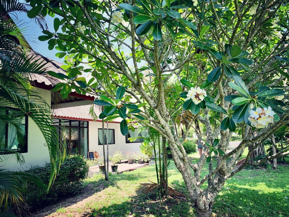 La Maison - Chiang Mai, Tailandia