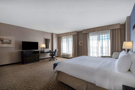 Holiday Inn Detroit Metro Airport by IHG, Romulus, United States