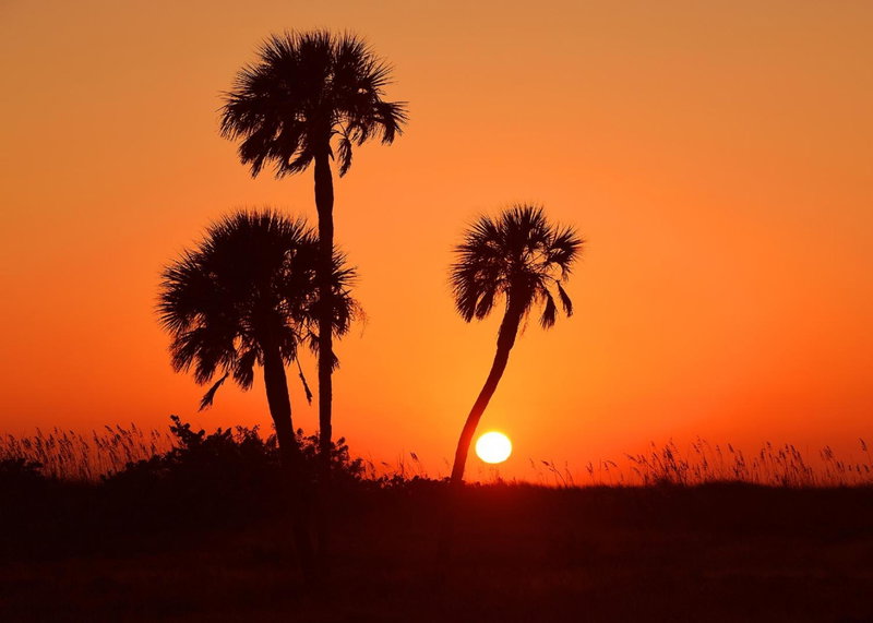 Plaza Beach Hotel - Beachfront Resort, St Pete Beach, United States