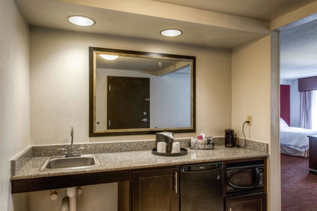 Hampton Inn & Suites Detroit/Airport Romulus, Romulus, United States