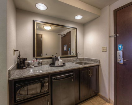 Hampton Inn & Suites Detroit/Airport Romulus, Romulus, United States