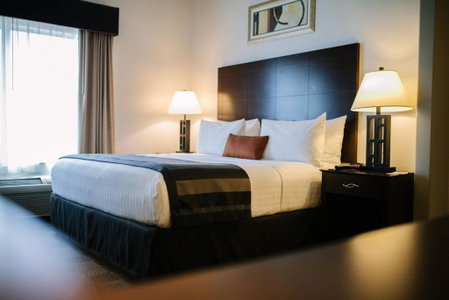 Wingate by Wyndham Tinley Park, Tinley Park, United States