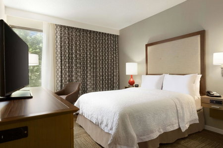 Hampton Inn Atlanta-Buckhead, Atlanta, United States