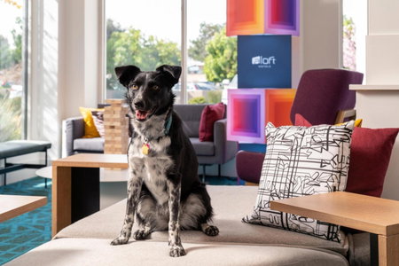 Aloft by Marriott Mountain View, Mountain View, United States
