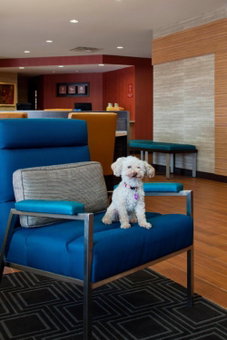 TownePlace Suites by Marriott Austin Round Rock, Round Rock, United States
