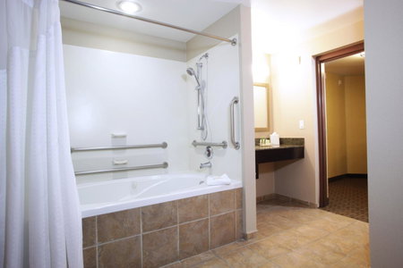 Holiday Inn Phoenix/Chandler by IHG, Chandler, United States