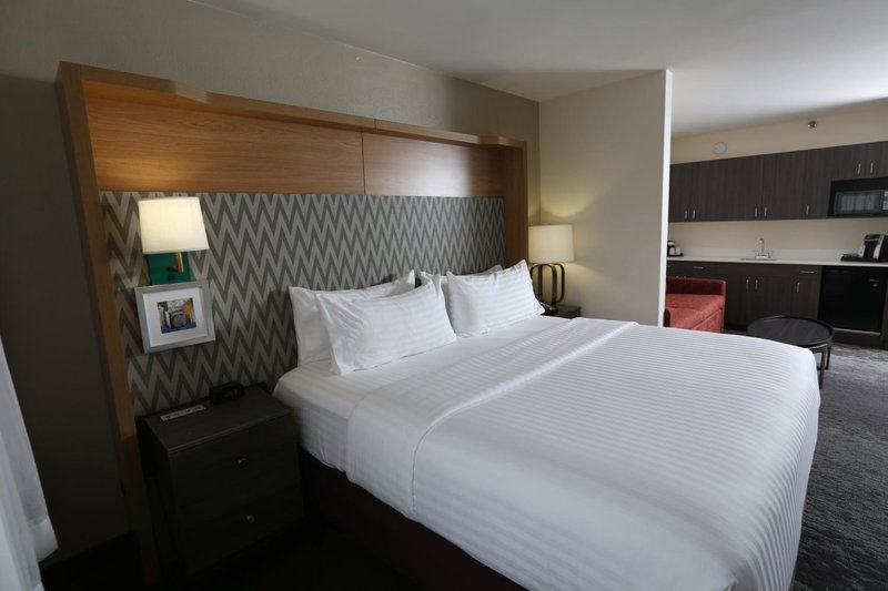 Holiday Inn Chicago North Shore by IHG, Skokie, United States