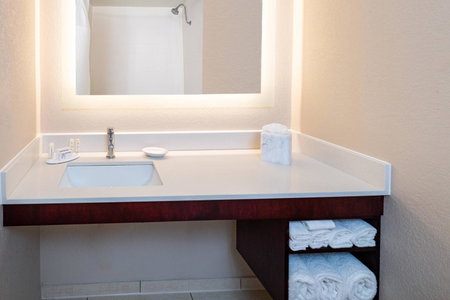 SpringHill Suites Houston Medical Center / NRG Park, Houston, United States