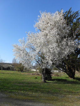 Clos du Bois Brard B&B, Saumur, France