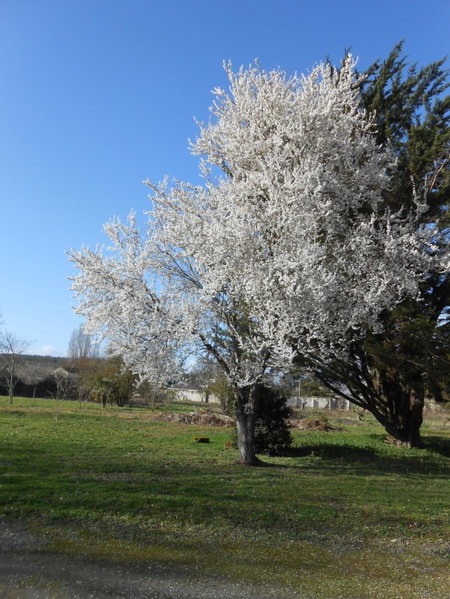 Clos du Bois Brard B&B, Saumur, France