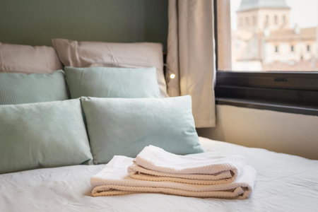 Hypercentre, Calme, Cosy, Parking Gratuit, Netflix Gratuit, Toulouse, France