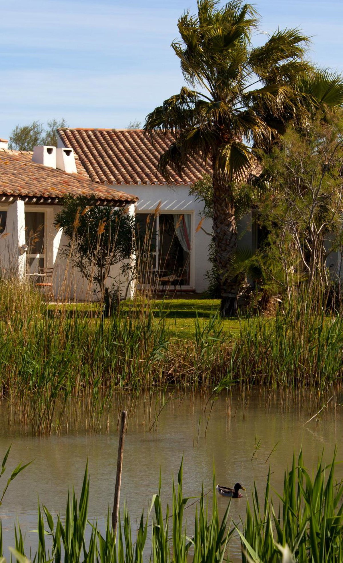 Hotel · Hotel La Tramontane, Saintes-Maries-de-la-Mer