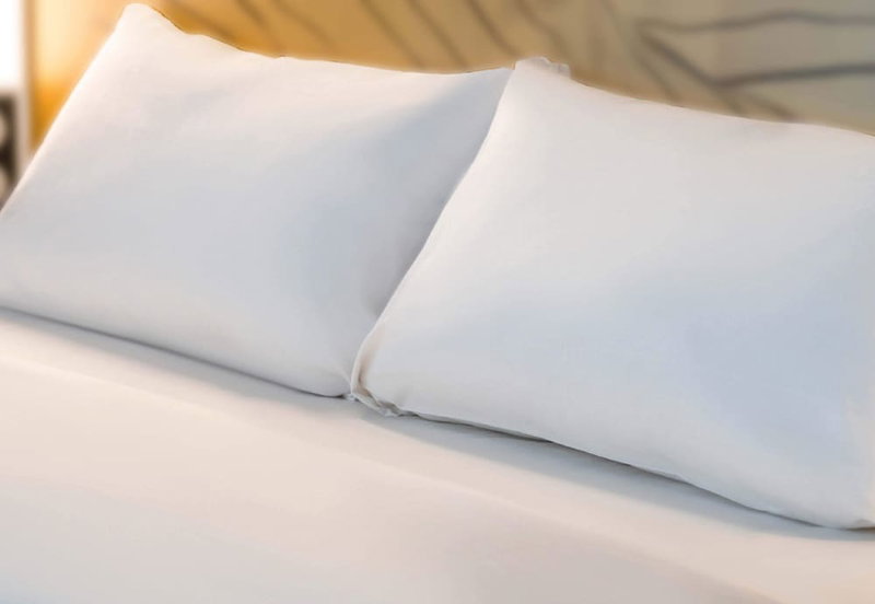 B&B HOTEL Blois Nord Vallee Maillard, Blois, France
