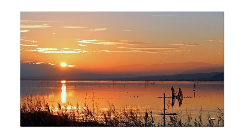 La Lagune, Bages, France