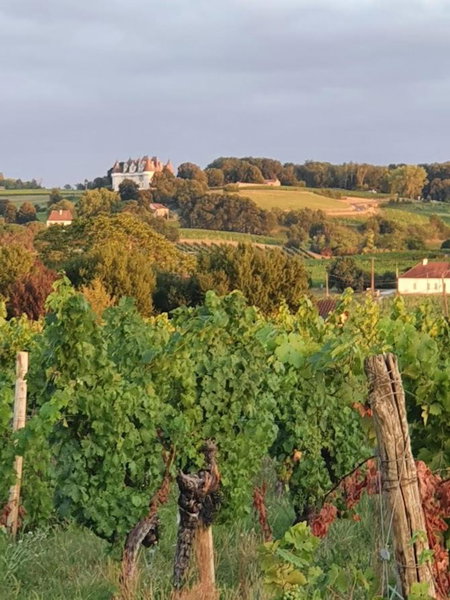 Clair de Vigne, Monbazillac, France