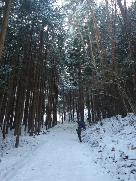 Anzuan Nishida, Ueda, Japan