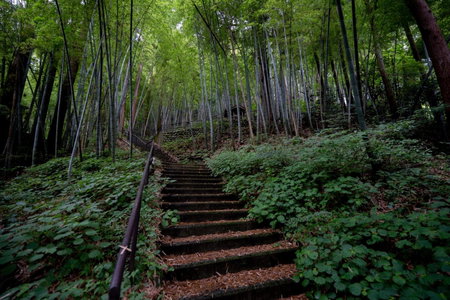 Sakahijiri Nikko, Nikko, Japan