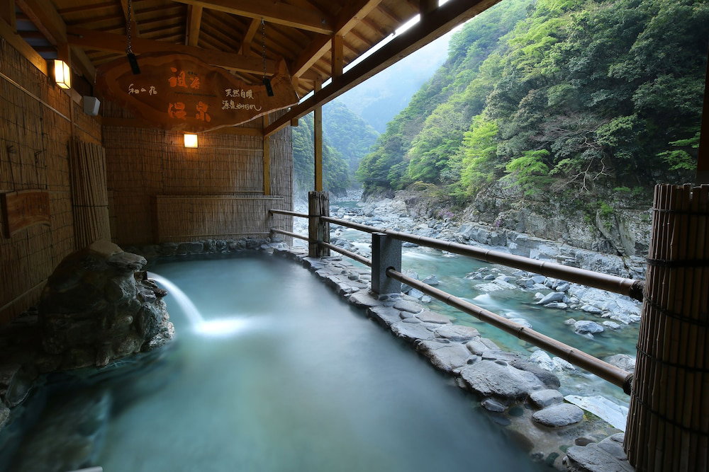 Hotel Iyaonsen, Japan