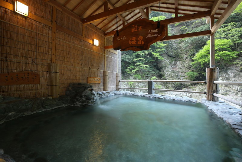 Hotel Iyaonsen, Miyoshi, Japan