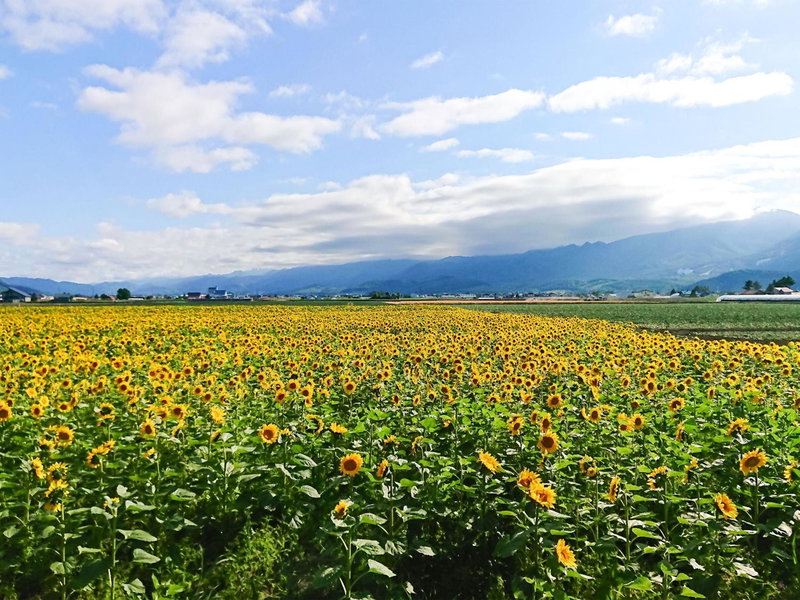 Meguminoyu, Furano, Japan