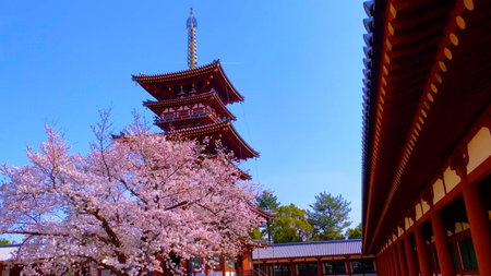 Temple Town Hotel WAQOO Horyuji, Ikaruga, Japan