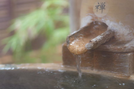 Oyado Ichizen, Yufu, Japan