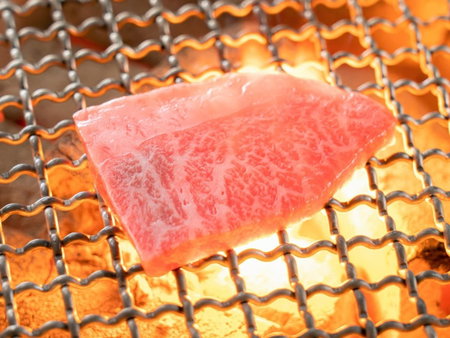 Appikogen Mori no Hotel, Hachimantai, Japan