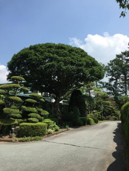 Yabukiso, Yamanakako, Japan