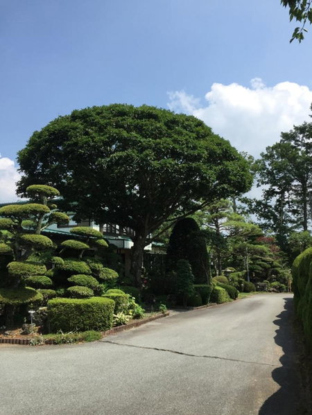 Yabukiso, Yamanakako, Japan